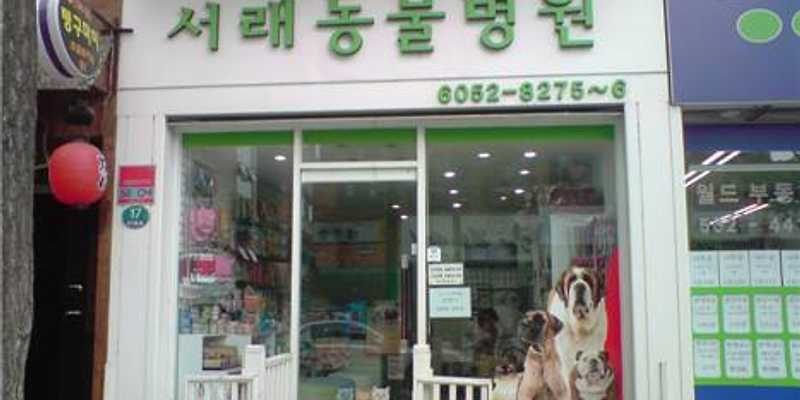 서래동물병원