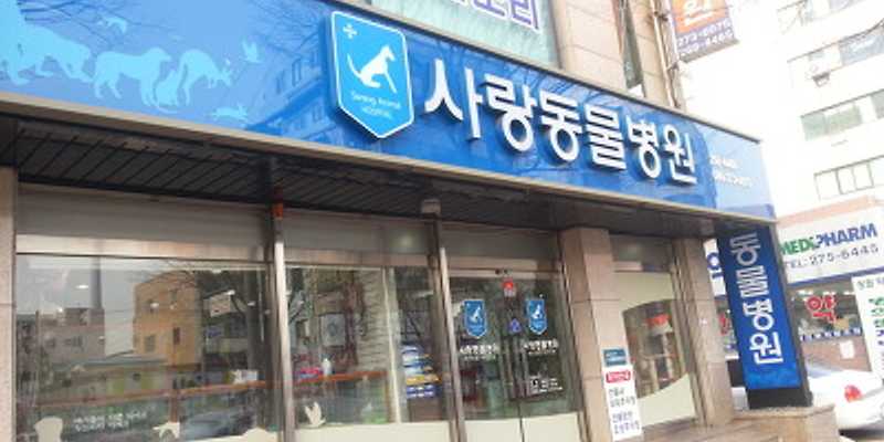 울산 사랑동물병원