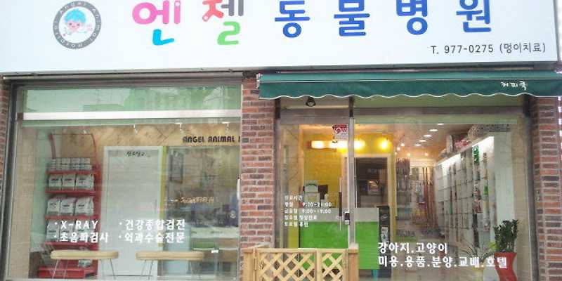 엔젤동물병원