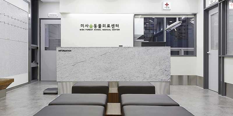 미사숲동물의료센터