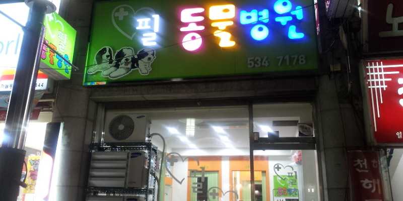 필동물병원