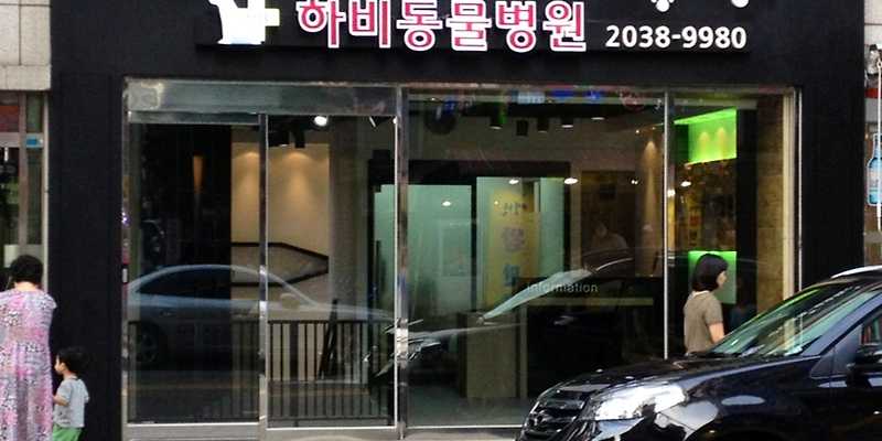 하비동물병원