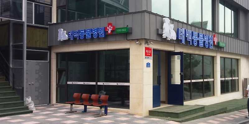 태백동물병원