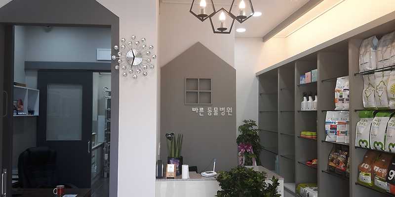 바른동물병원