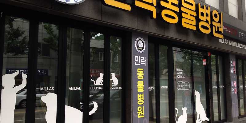민락동물병원