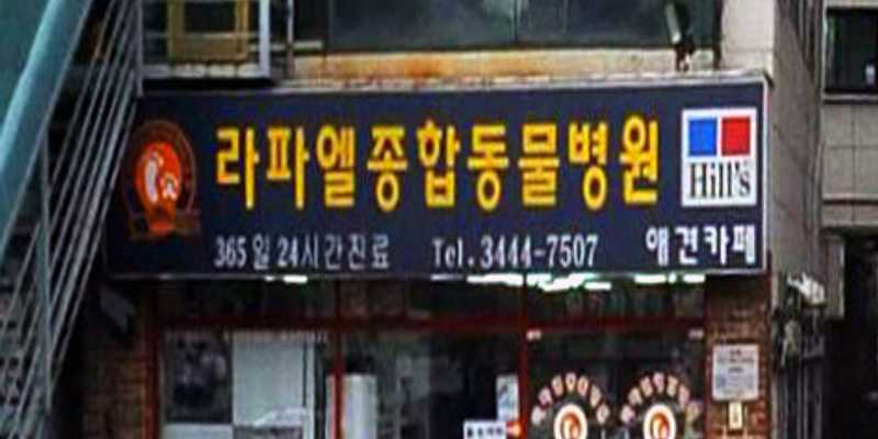 라파엘동물병원