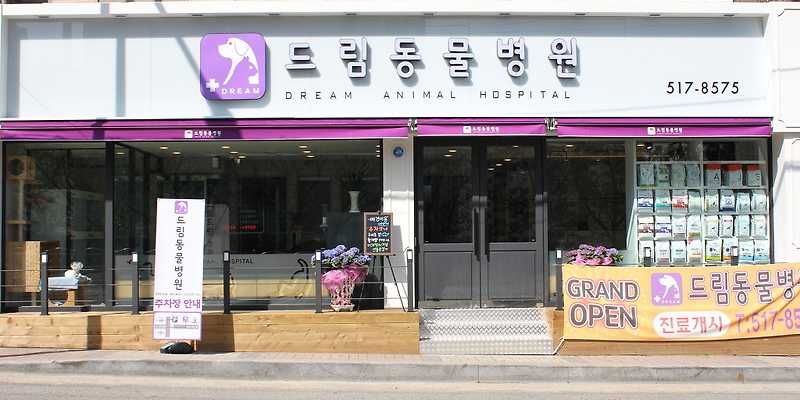 드림동물병원