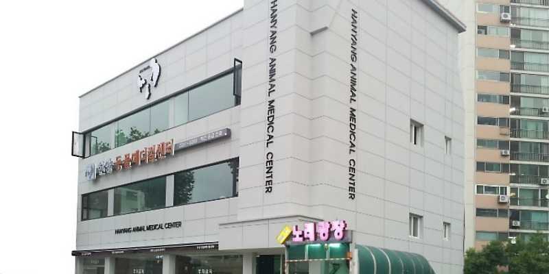 한양동물메디컬센터