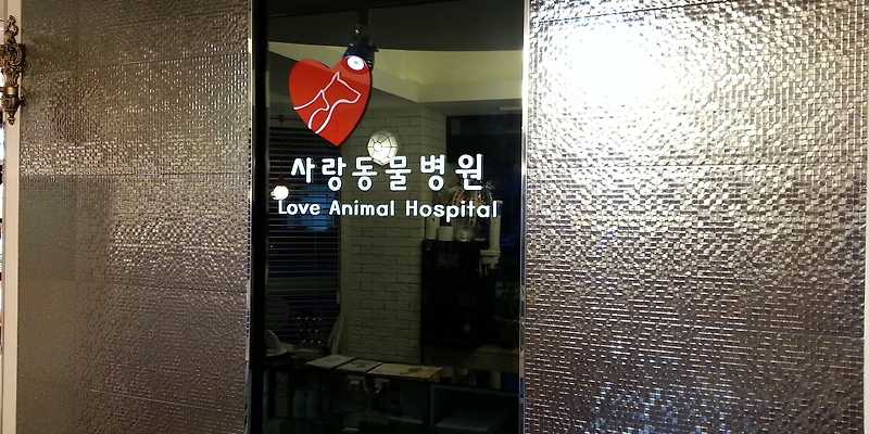사랑동물병원