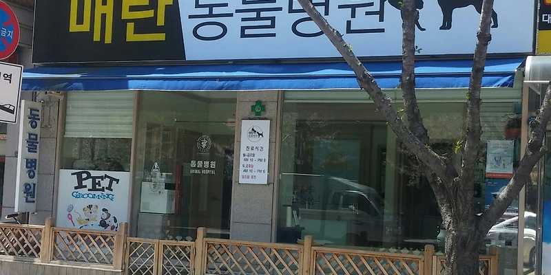 매탄동물병원
