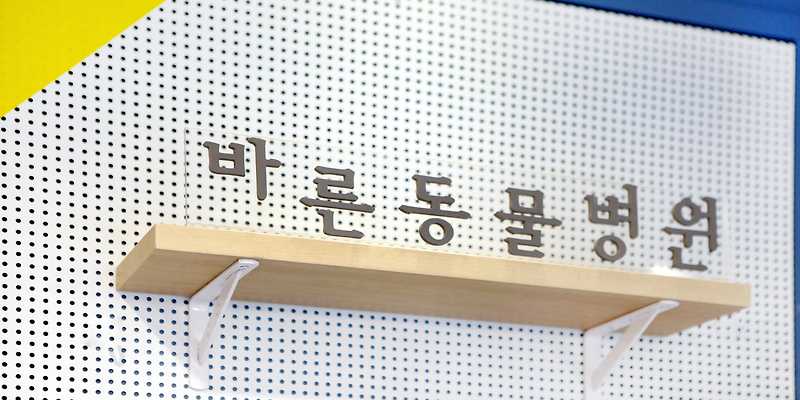 바른동물병원