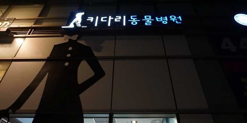 키다리동물병원