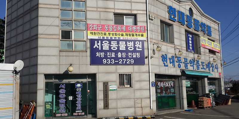서울동물