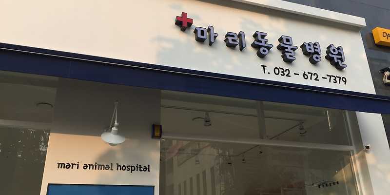 마리동물병원