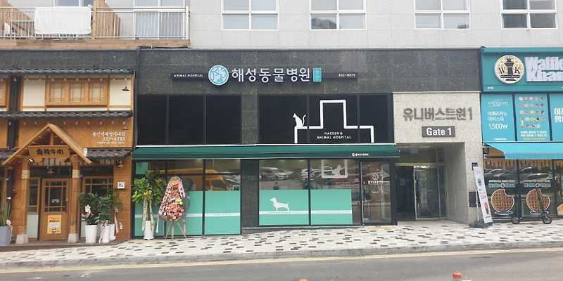 용인해성동물병원