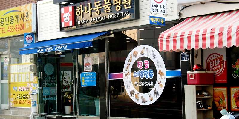 하나동물병원