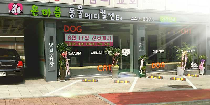온마음 동물메디컬센터