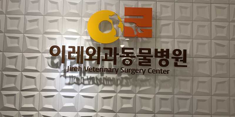 이레외과동물병원