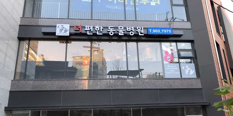더편한동물병원