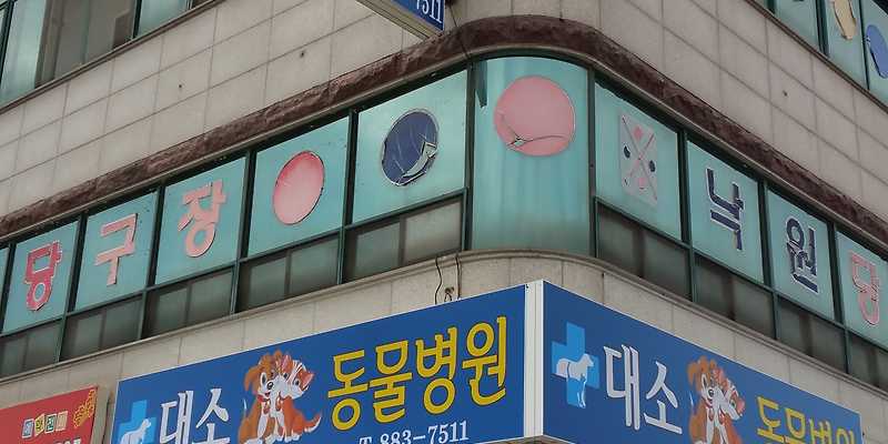 대소동물병원
