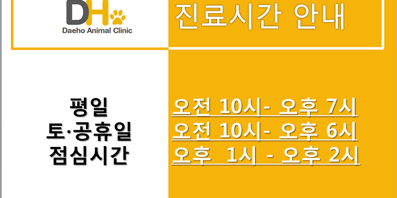 대호동물병원