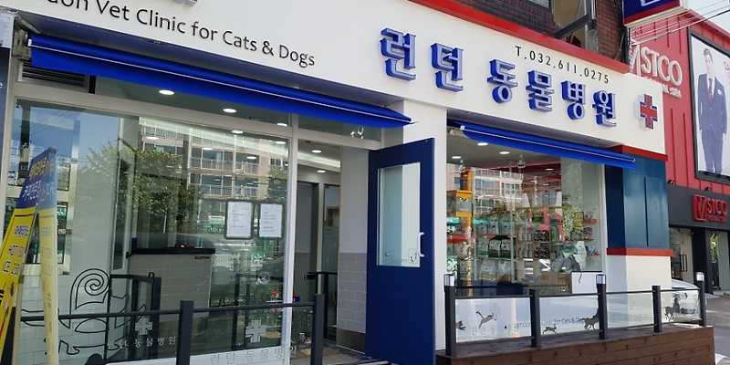 런던동물병원