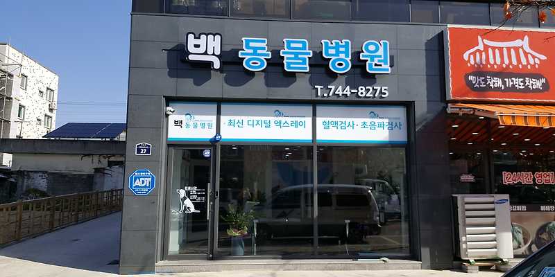 백동물병원