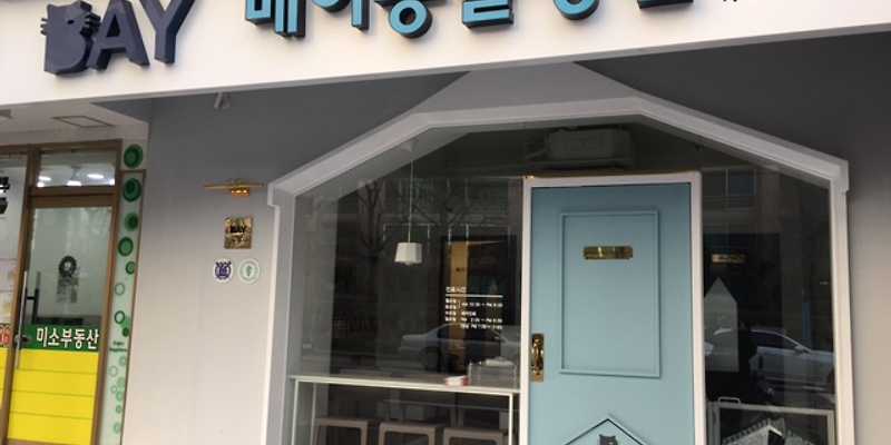 베이동물병원