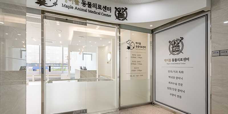 메이플 동물의료센터