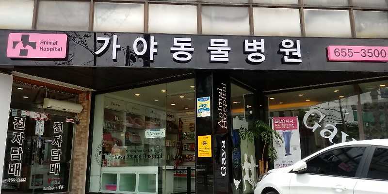 가야동물병원