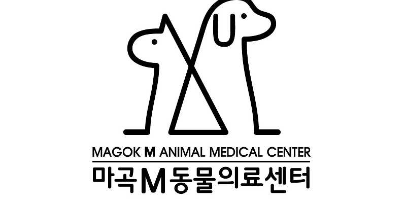 마곡M동물의료센터