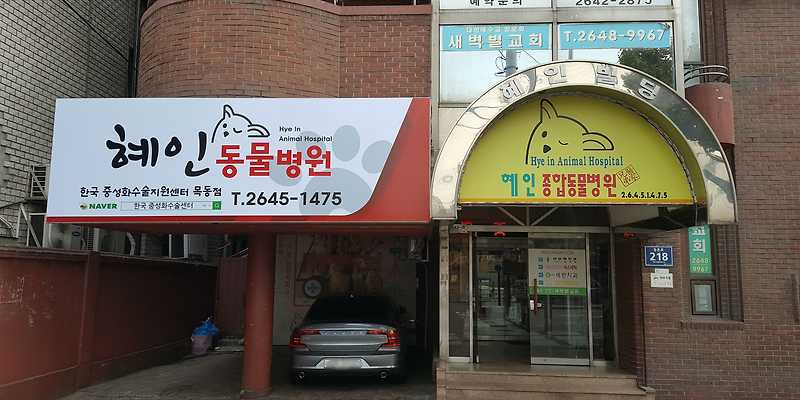 혜인종합동물병원 본점