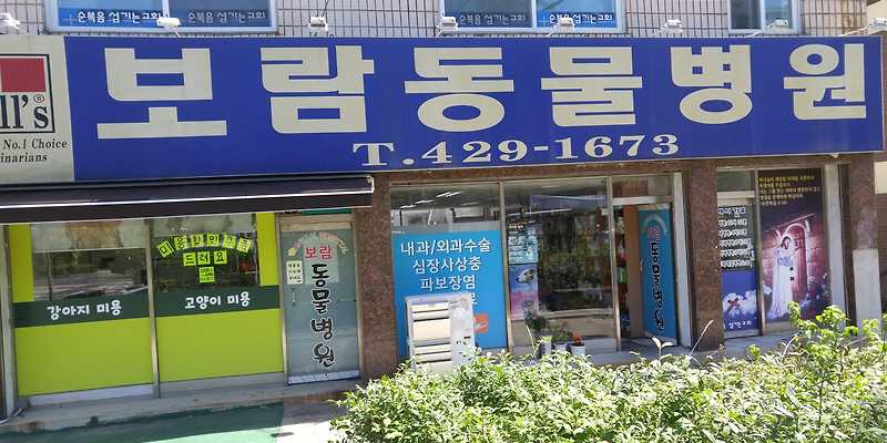 보람동물병원