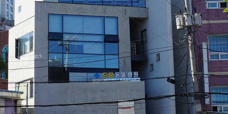 도담동물병원