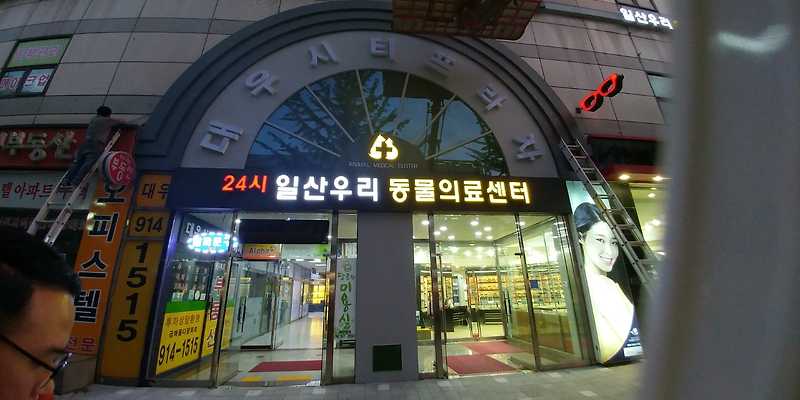 24일산우리동물병원