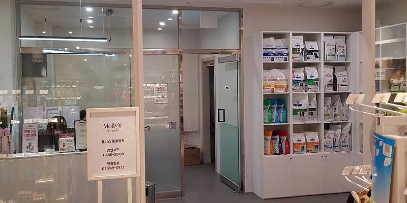 웰니스 동물병원
