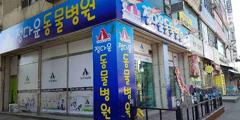 정다운동물병원