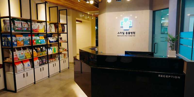 송파스마일동물병원