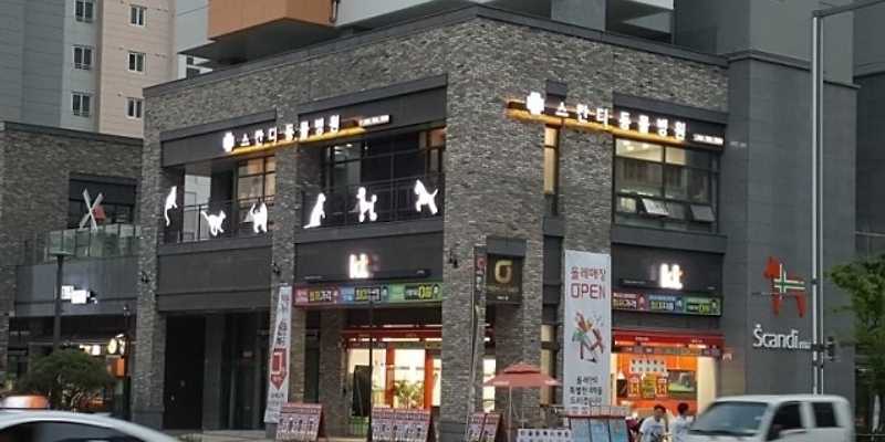 스칸디동물병원