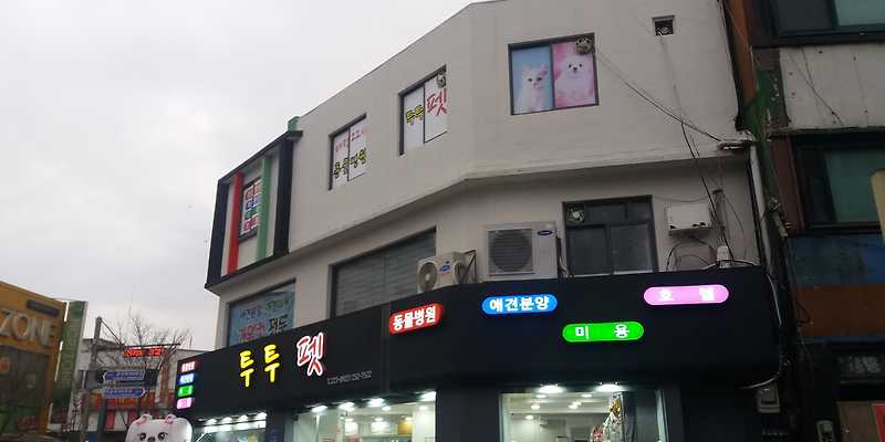 투투 동물병원