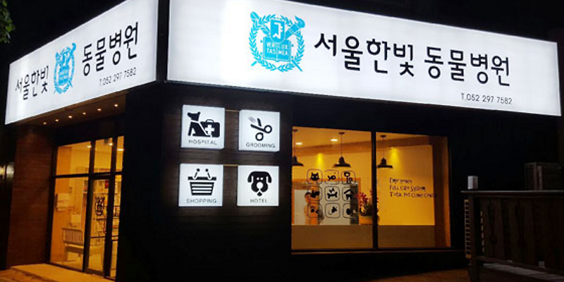 서울한빛동물병원