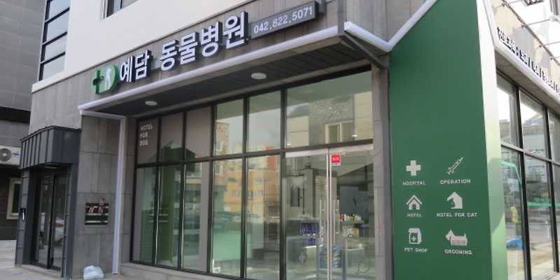예담동물병원