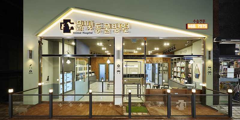 물빛동물병원