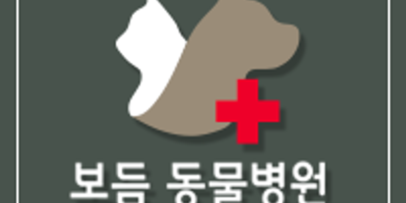 24시보듬동물병원