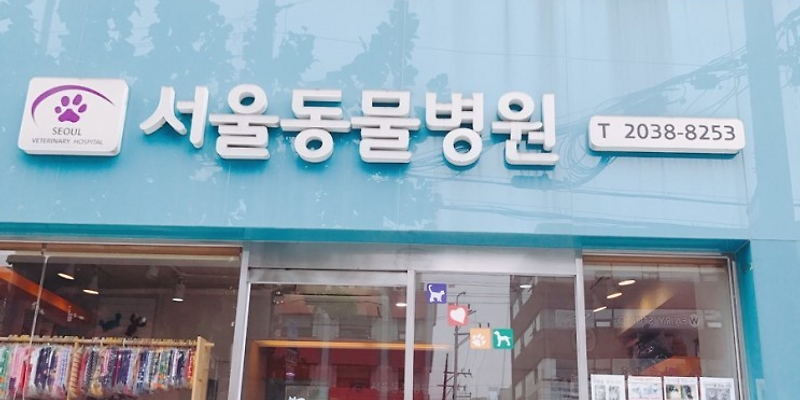 서울동물병원