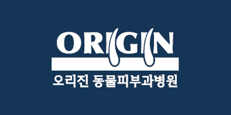 오리진 동물피부과병원
