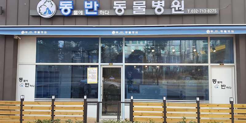 동물에 반하다 동물병원
