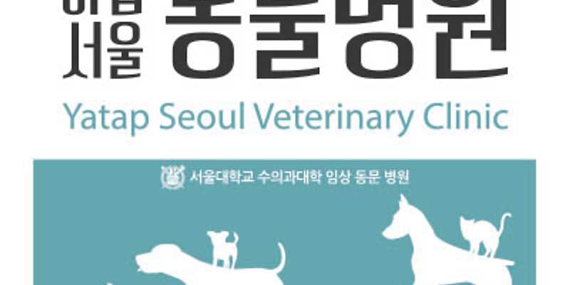 야탑서울동물병원