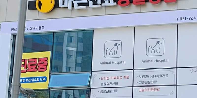바른진료 동물병원