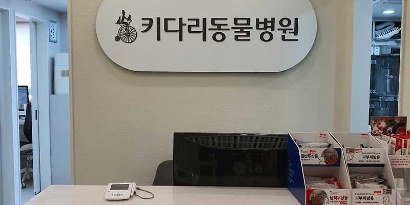 키다리 동물병원